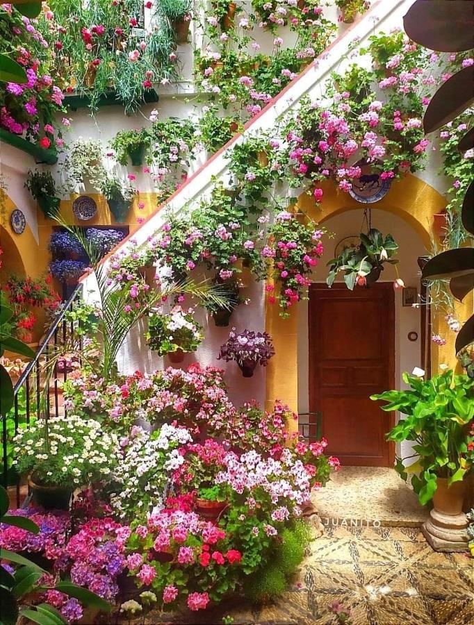 Apartamento Casa Naranjo Cordoba Luaran gambar